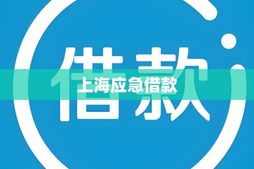 上海应急借款 上海应急借款