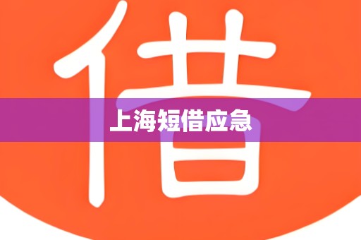上海短借应急