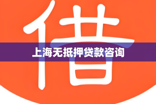 上海无抵押贷款咨询